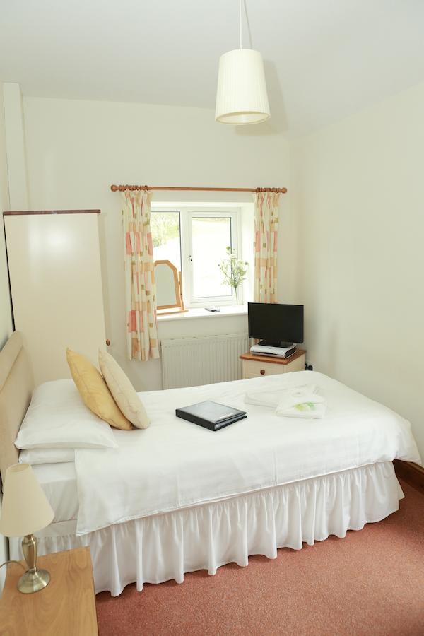 Bed and Breakfast The Dolgoch Bryn-crug Pokój zdjęcie